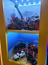 in toy vending machine